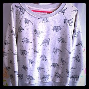 Dinosaur sweatshirt